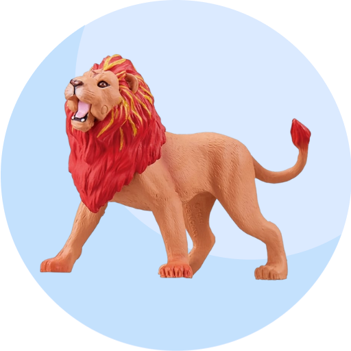 アニアキングダム