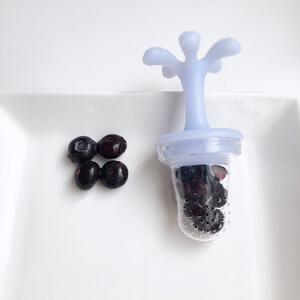 etoile エトワ フルーツフィーダー （ブルー）  離乳食グッズ  6ヵ月頃から