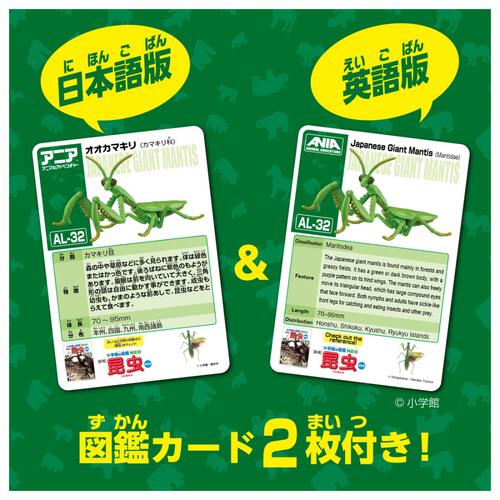 アニア AL-32 オオカマキリ