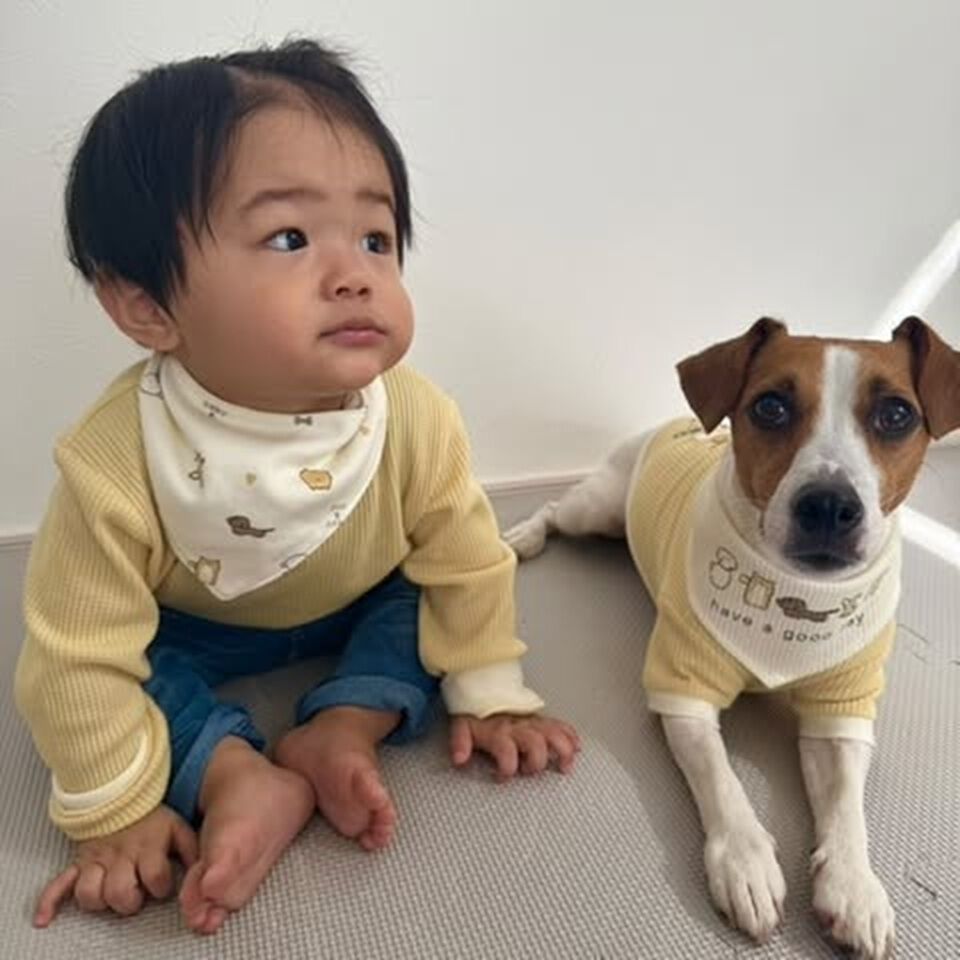 ベビー×ペットコレクション】スタイ 3枚組 イヌ バンダナ型