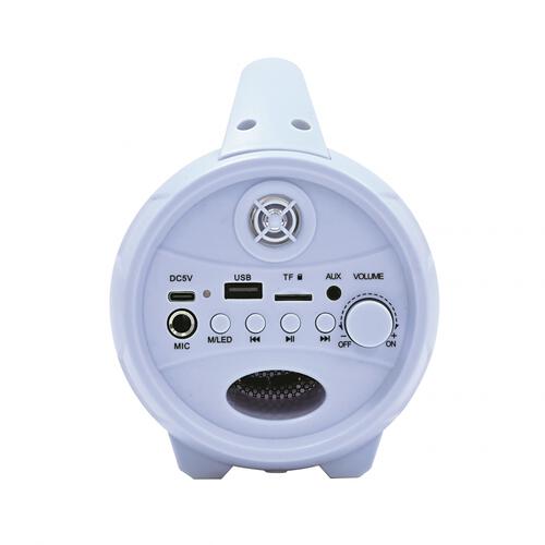 アナと雪の女王 ライトアップスピーカー＆マイク トイザらス限定 クリスマスプレゼント 6歳 7歳 8歳