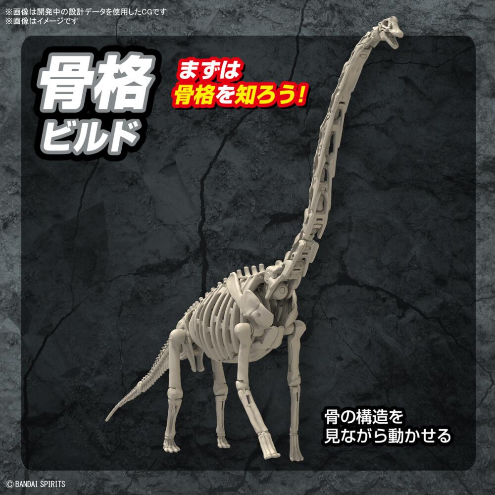 プラノサウルス ブラキオサウルス | Toys”R”Us – Japan