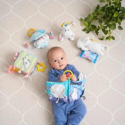 たくさんあそべるアクティビティキューブ ムーミン トイザらス限定