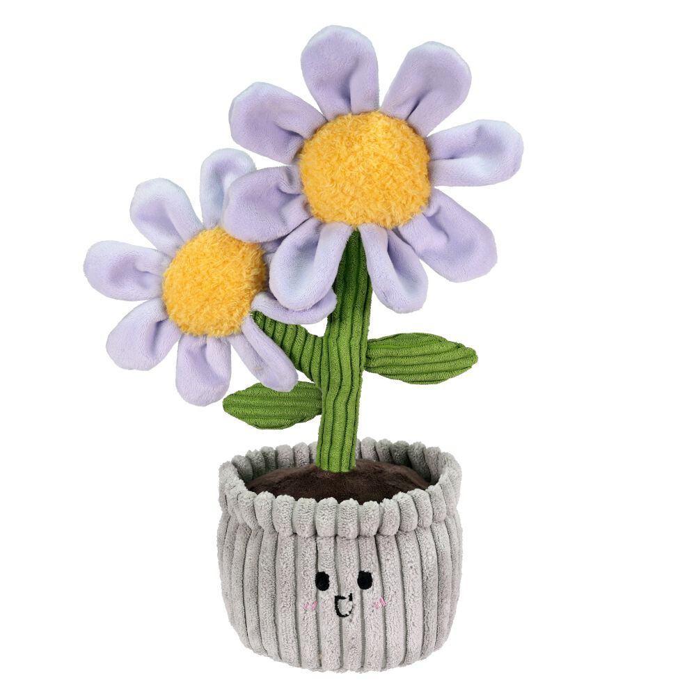 ☆フラワーデージー様 お取り置き☆ prize_thumb_1_20250814_071819_