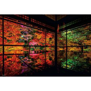 300ピース ジグソーパズル 秋深まる瑠璃光院／神宮外苑の銀杏並木【種類ランダム】