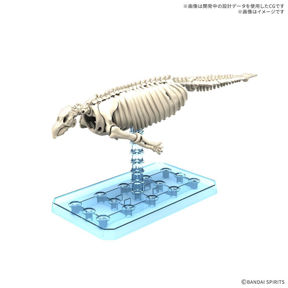 海獣の骨 予約受付商品】プラノサウルス ステラーカイギュウ プラモデル【出荷