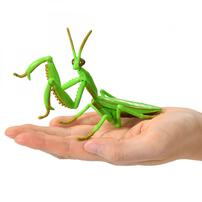 アニア AL-32 オオカマキリ