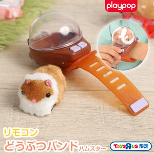 リモコンどうぶつバンド ハムスター トイザらス限定  3歳 4歳 5歳