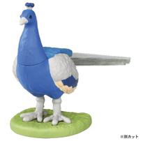 アニア AS-16 クジャク（インドクジャク）