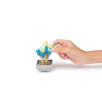 プラントコレクション 多肉植物セット５トイザらス限定 クリスマスプレゼント 8歳 9歳 10歳