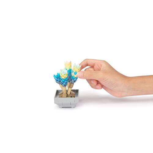 プラントコレクション 多肉植物セット５トイザらス限定 クリスマスプレゼント 8歳 9歳 10歳