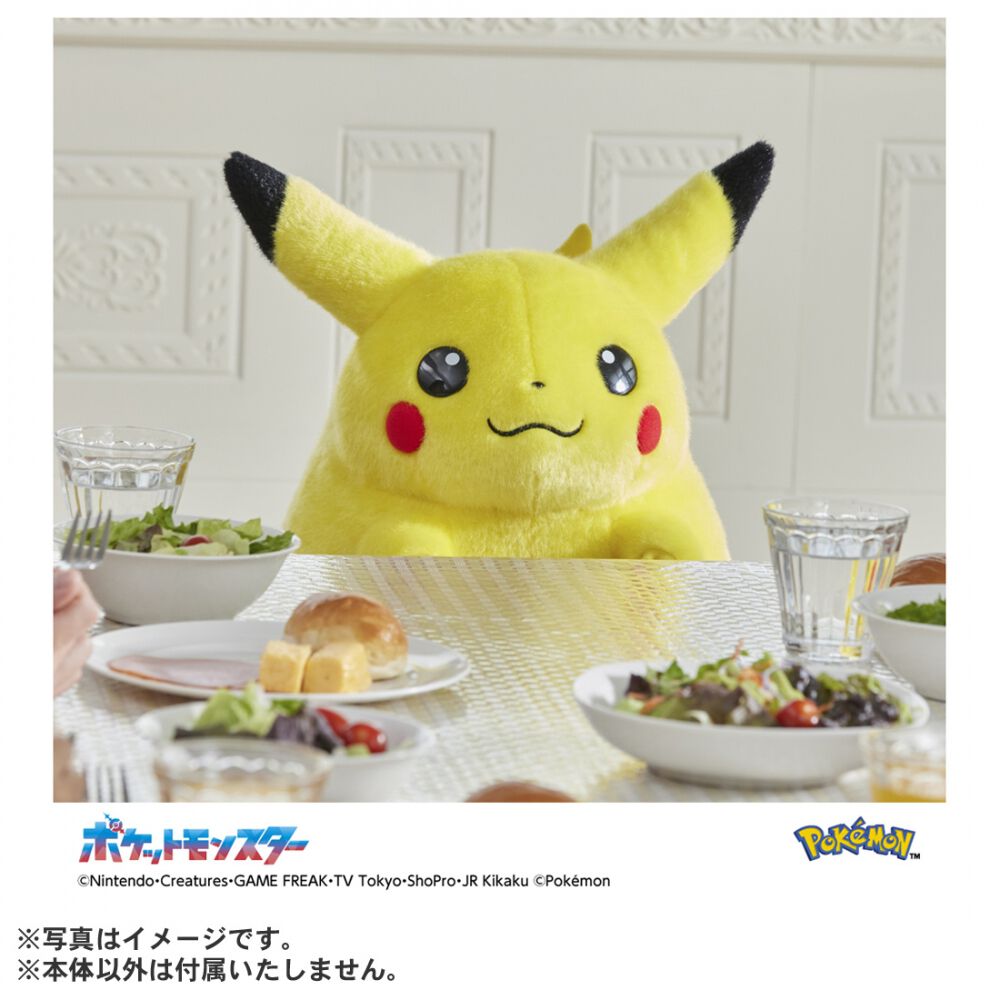 お1人様1点限り】ポケモン30周年記念 おかえり！ピカチュウ1/1