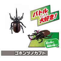 アニア 世界の昆虫バトルセット