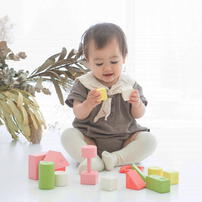 お米のつみき 縁起色 トイザらス限定