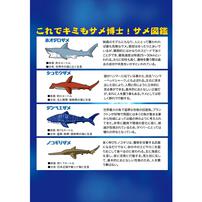 発掘名人 発掘上手（ハックツジョーズ）SUPER DX【種類ランダム】