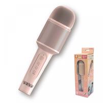 【オンライン限定】カラオケマイク