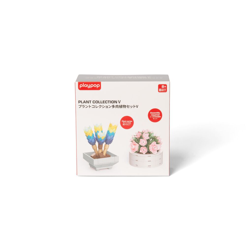 多肉セットd 多肉植物セット*2 プラントコレクション 多肉植物セット2 トイザらス