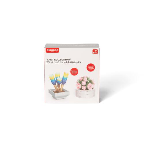 プラントコレクション 多肉植物セット５トイザらス限定 クリスマスプレゼント 8歳 9歳 10歳