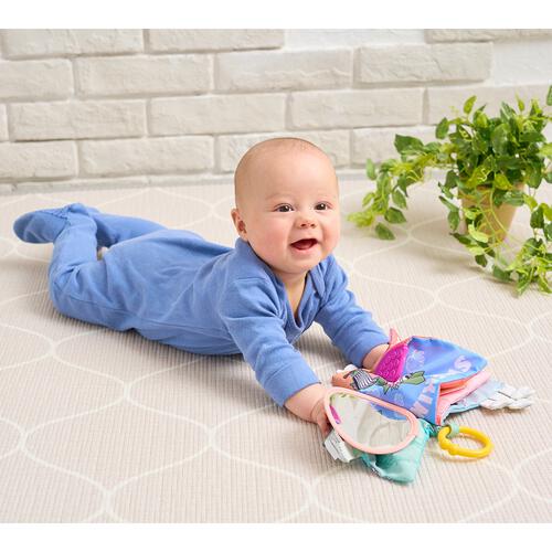 あそびがたくさん！やわらか絵本 ムーミン トイザらス限定