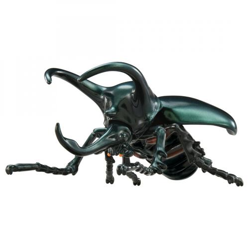 アニア AL－18 アトラスオオカブト