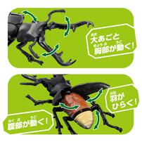 アニア AL-38 ギラファノコギリクワガタ