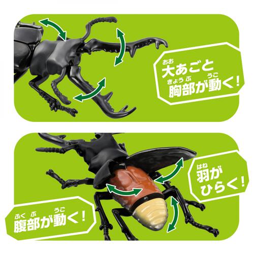 アニア AL-38 ギラファノコギリクワガタ