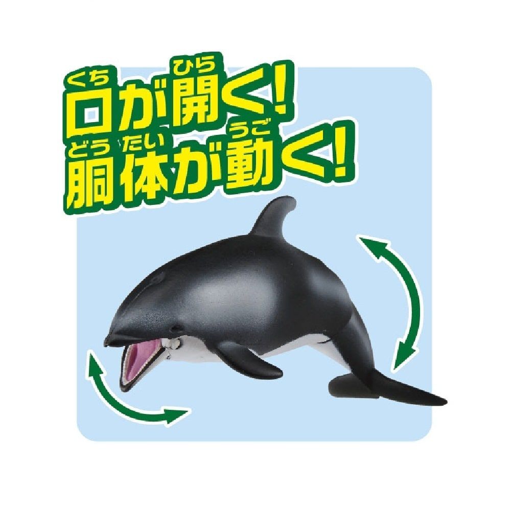 アニア アニア AL－17 スティラコサウルス | 玩具卸売 カワダオンライン