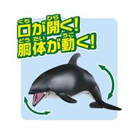 アニア AS-19 カマイルカ(水に浮くVer.)