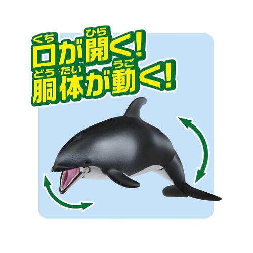 アニア AS-19 カマイルカ(水に浮くVer.)