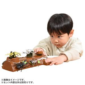 アニア 昆虫バトルステージ