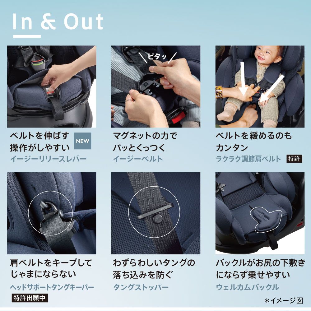 P.Gabriel pup 【手渡し限定特価】ビカクシダ　ガブリエル P.Gabriel (from晴花鹿苑） | naturefix