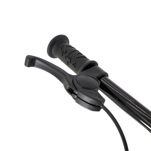 11.5インチ ライトウェイトトレーニングバイク EVAタイヤ (コーラルピンク)トイザらス限定 クリスマスプレゼント 3歳 4歳 5歳