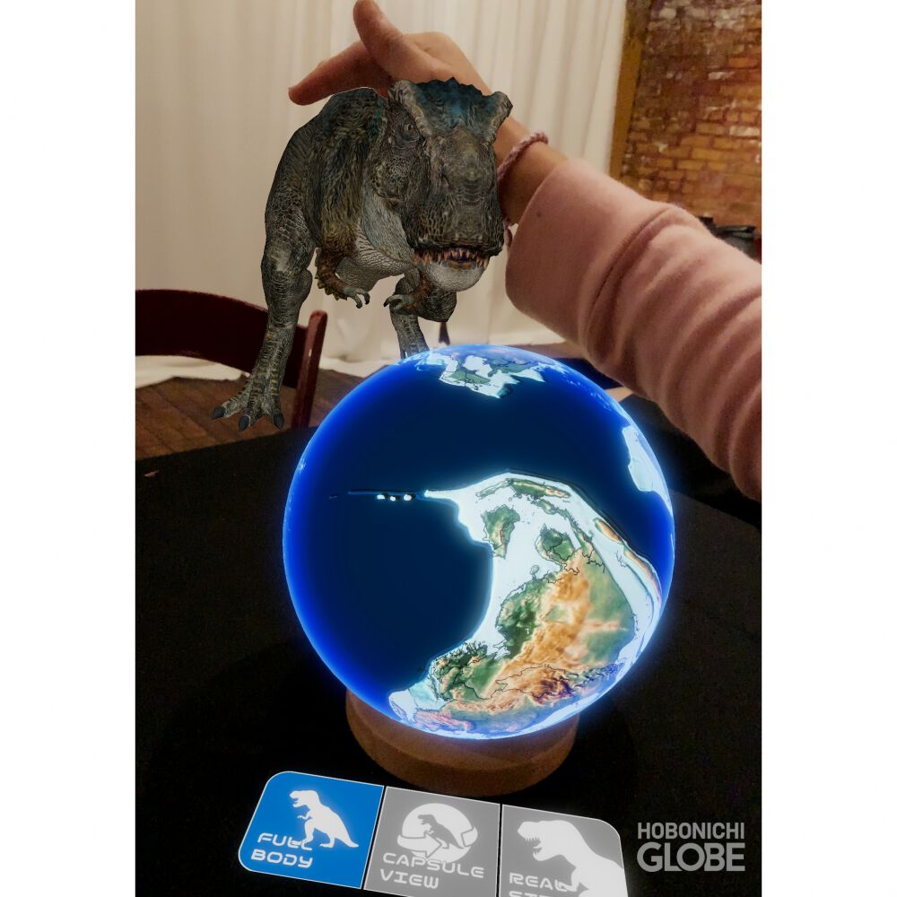 ほぼ日のアースボール | Toys”R”Us – Japan