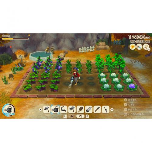 【Nintendo Switchソフト】牧場物語 LET&rsquo;S！ 風のグランドバザール