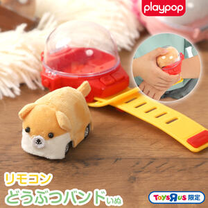 リモコンどうぶつバンド いぬ トイザらス限定  3歳 4歳 5歳