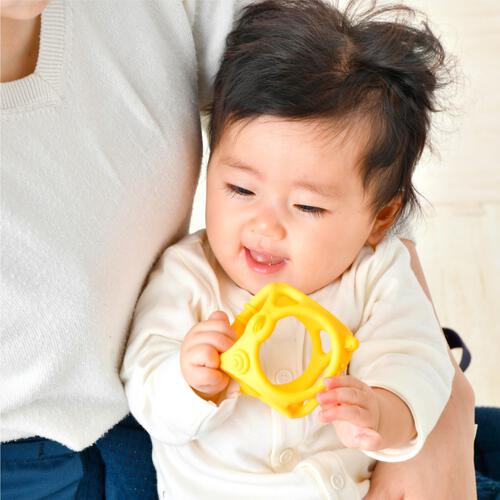 赤ちゃん観察シリーズ なめかみボール