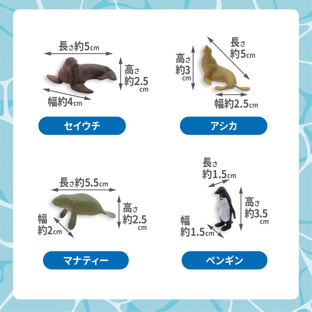 a43e0e7f9c5cd1cc8d664879a985dc