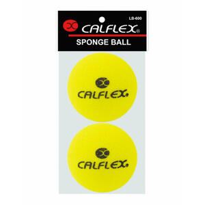 スポンジボール 2個入り
