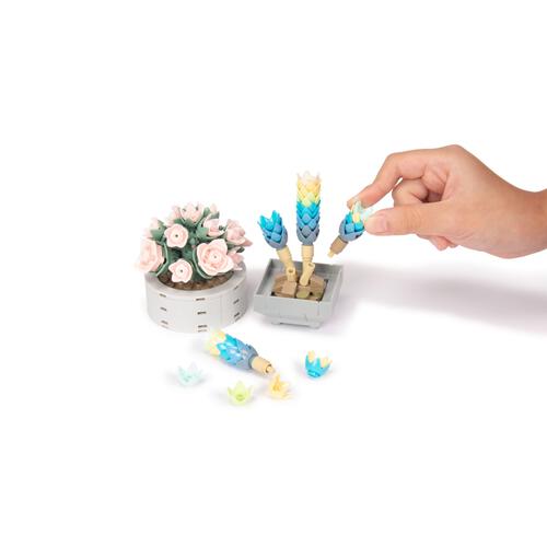 プラントコレクション 多肉植物セット５トイザらス限定 クリスマスプレゼント 8歳 9歳 10歳