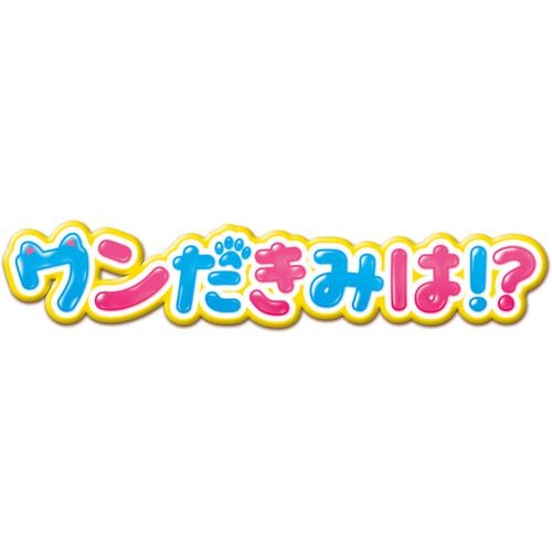 ワンだきみは！？ ぬいぐるみ
