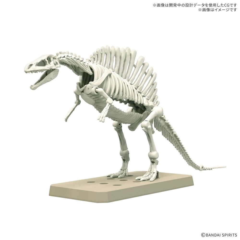 天然石 ラブラドライト の スピノサウルス の 置物 です。1点物！約130㍉！ 187094641_o2.jpg?