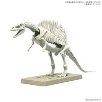 【予約受付商品】プラノサウルス スピノサウルス1915 プラモデル【出荷予定日：2026年7月31日】