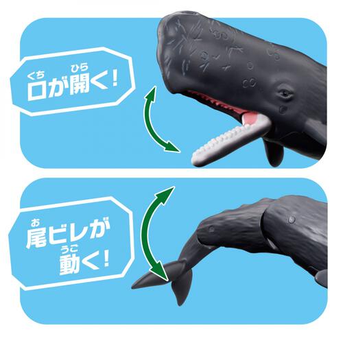 アニア AL-34 マッコウクジラ（水に浮くVer.）