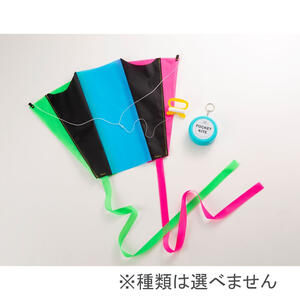 ポケットカイト 1種【種類ランダム】