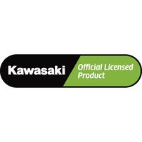 18インチ カワサキ ブラック トイザらス限定 クリスマスプレゼント 4歳 5歳 6歳