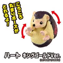 冒険大陸 アニアキングダム ルッタとなかまたちセット（キングゴールドVer.）