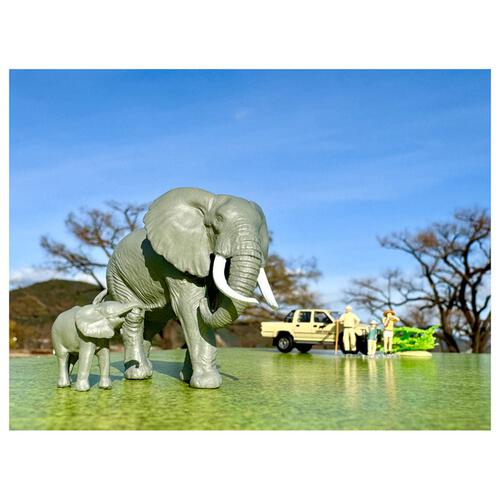 海洋堂×トミカリミテッド ヴィンテージ ジオコレ64 ＃カースナップ29a サファリ2 （トヨタ ハイラックス4WDピックアップ ダブルキャブ付属）