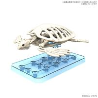 【予約受付商品】プラノサウルス アーケロン プラモデル【出荷予定日：2026年9月30日】