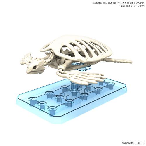 【予約受付商品】プラノサウルス アーケロン プラモデル【出荷予定日：2026年9月30日】