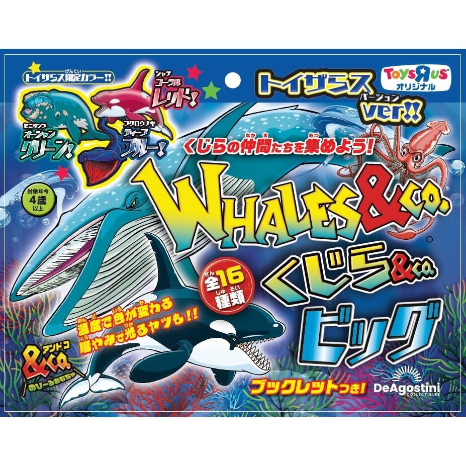 くじら＆CO．ビッグ トイザらス限定【種類ランダム】 | おもちゃ通販 